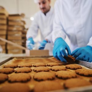 Food Grade Lubricant Grease